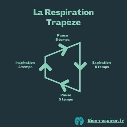 infographie respiration trapèze